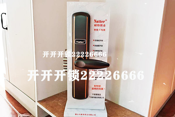 电子指纹密码锁1