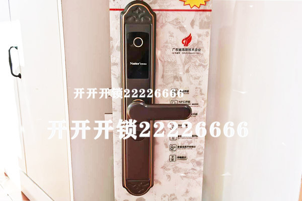电子指纹密码锁3